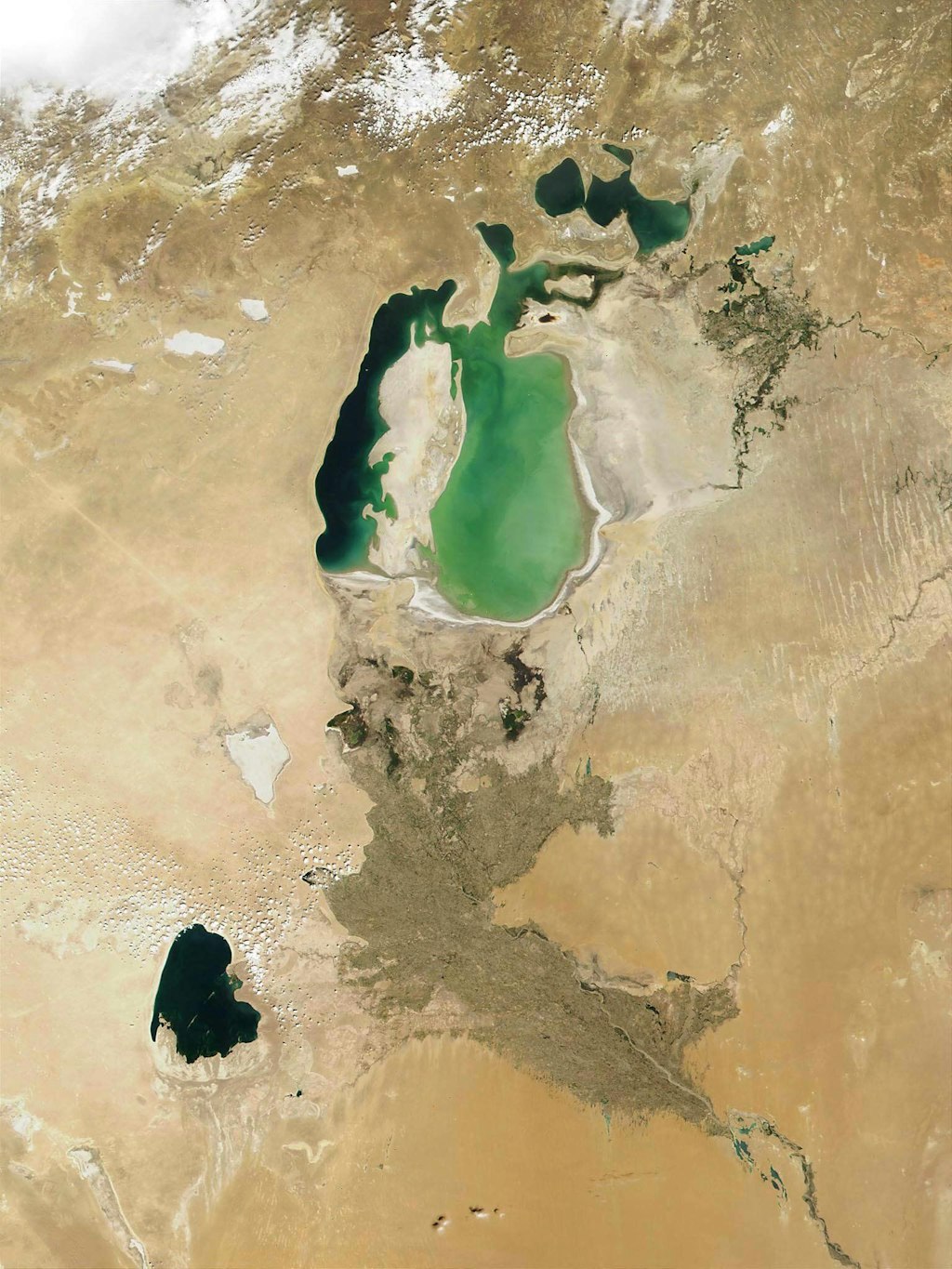 Der Aralsee in eine Nasa-Satelliten-Aufnahme. Schon seit mehr als 60 Jahren trocknet der Salzwassersee, der auch Binnenmeer genannt wird, aus.