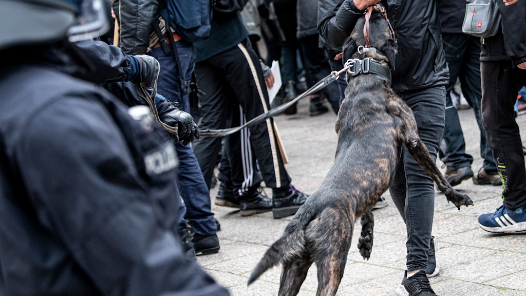 Ein Polizeihund springt nach der Räumung eines besetzten Hauses an einem Demonstranten hoch.