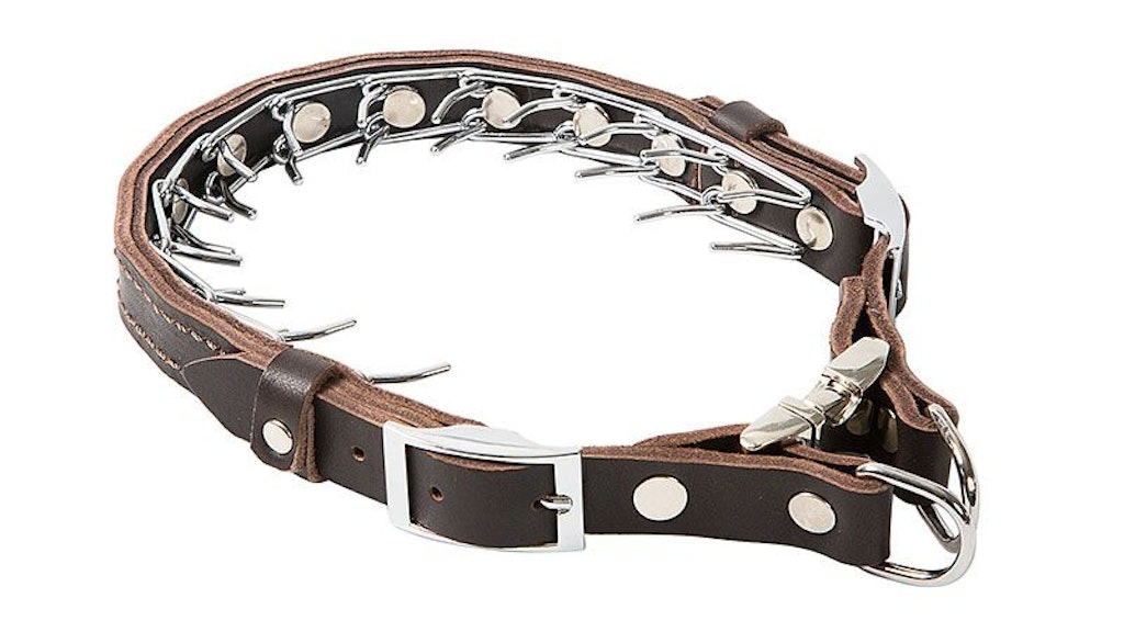 Ein Stachelhalsband: Diese dürfen nach der neuen Tierschutz-Hundeverordnung nicht mehr bei der Ausbildung und dem Training der Tiere verwendet werden.