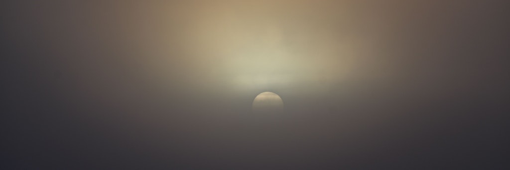 Sonne kämpft sich durch den Nebel: Von Winterzauber ist im Januar vielerorts nichts zu sehen.
