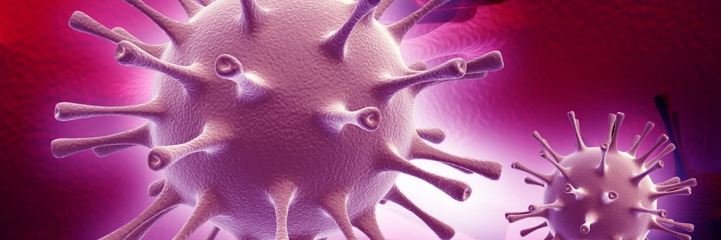 EBV ist ein Herpesvirus, das auch das Pfeiffersche Drüsenfieber auslöst und ein Leben lang im Wirt verbleibt.