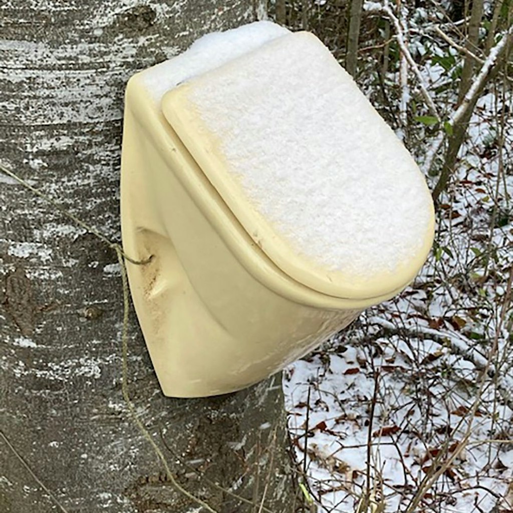 Ein Pissoir hängt am Parkplatz beim Rauhen Stich nahe einer vielbefahrenen Straße an einem Baum in Horb am Neckar.
