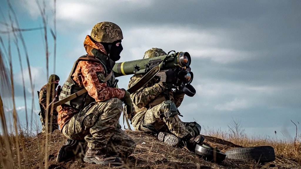 Die Ukraine hofft im Konflikt mit Moskau auf Waffenlieferungen aus Deutschland.