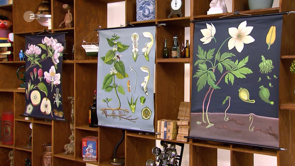 Die Wandkarten wurden von einer Druckerei in Düsseldorf angefertigt. Nun kamen sie bei „Bares für Rares“ unter den Hammer.