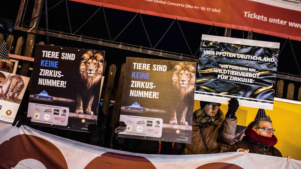 Immer wieder demonstrieren Tierrechtler und Tierrechtlerinnen verschiedener Gruppen gegen Tiere im Zirkus.