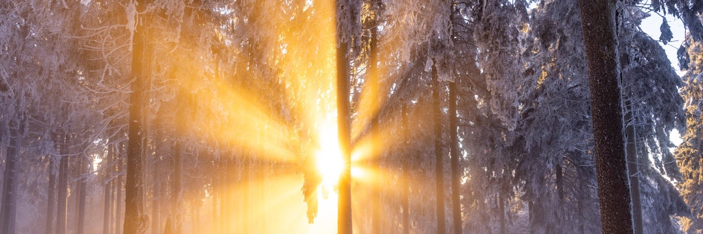 Neuer Schnee kündigt sich zum Monatswechsel an, die Temperaturen fahren Achterbahn.