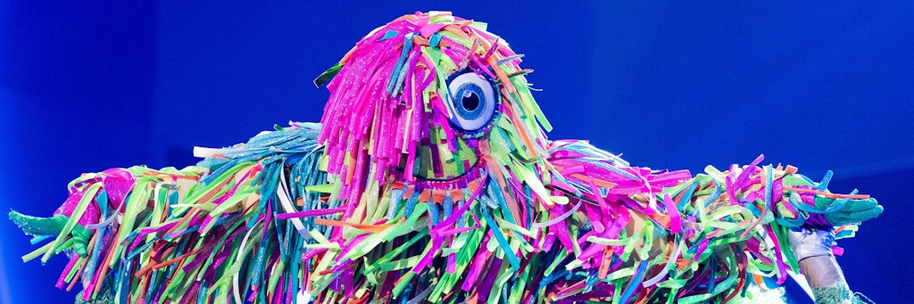Vom Zottel ist bei „The Masked Dancer“ stets nur ein Auge zu sehen... ein Hinweis darauf, dass der Star im Kostüm auch „Promi Big Brother“ moderiert?