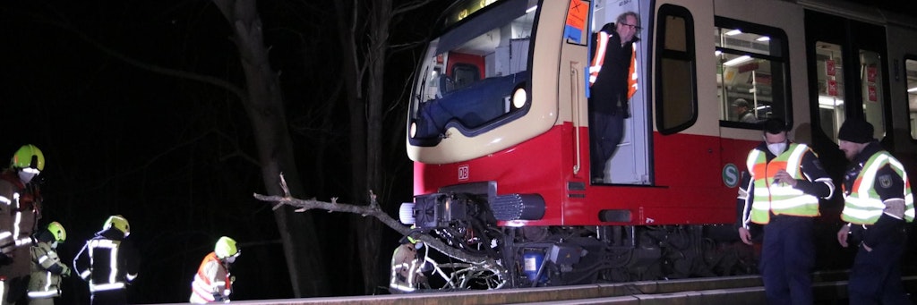 Auf der S-Bahn-Strecke zwischen Spandau und Pichelsberg rammten zwei Züge einen umgestürzten Baum. Ein großer Ast verkeilte sich unter einem der Züge.