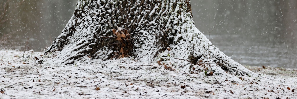Nur in den Bergen geht es winterlich zu. Für das Tiefland bringt wohl auch der Februar keinen Schnee mehr.