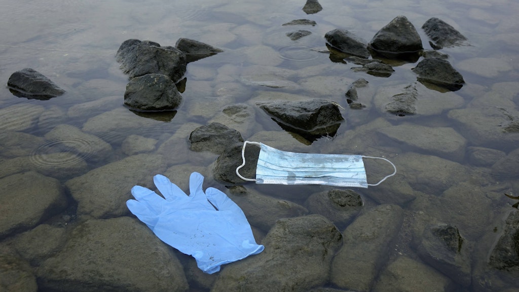 Eine OP-Maske und ein Einweghandschuh schwimmen am Ufer des Greifswalder Boddens im Wasser.