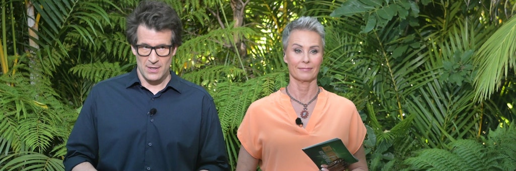 Muss Sonja Zietlow bald ohne Daniel Hartwich das Dschungelcamp moderieren?