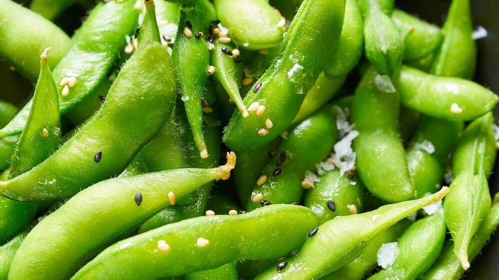 Edamame werden hergestellt, indem unreife Sojabohnen geerntet und anschließend gekocht werden.