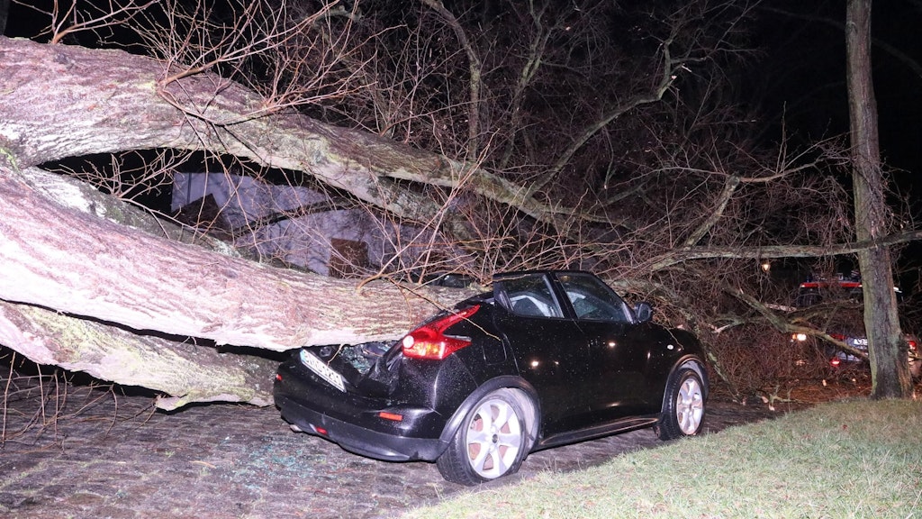 In Berlin legte sich ein mindestens 100 Jahre alter Baum quer über die Schillerstraße in Lichtenrade und beschädigte dabei drei Autos.