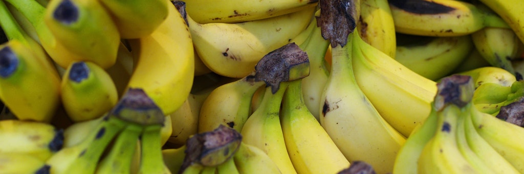 Laut einer Untersuchung isst jeder Deutsche pro Jahr 16,3 Kilogramm Bananen.
