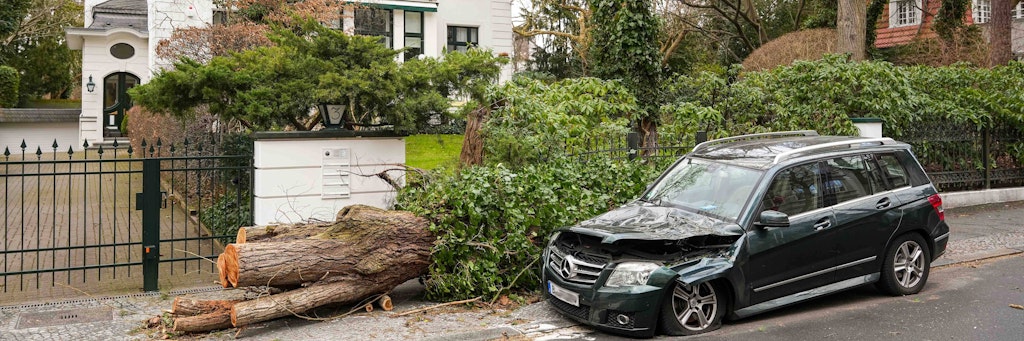 In Grunewald hat ein umstürzender Baum einen Mercedes-SUV zerstört.