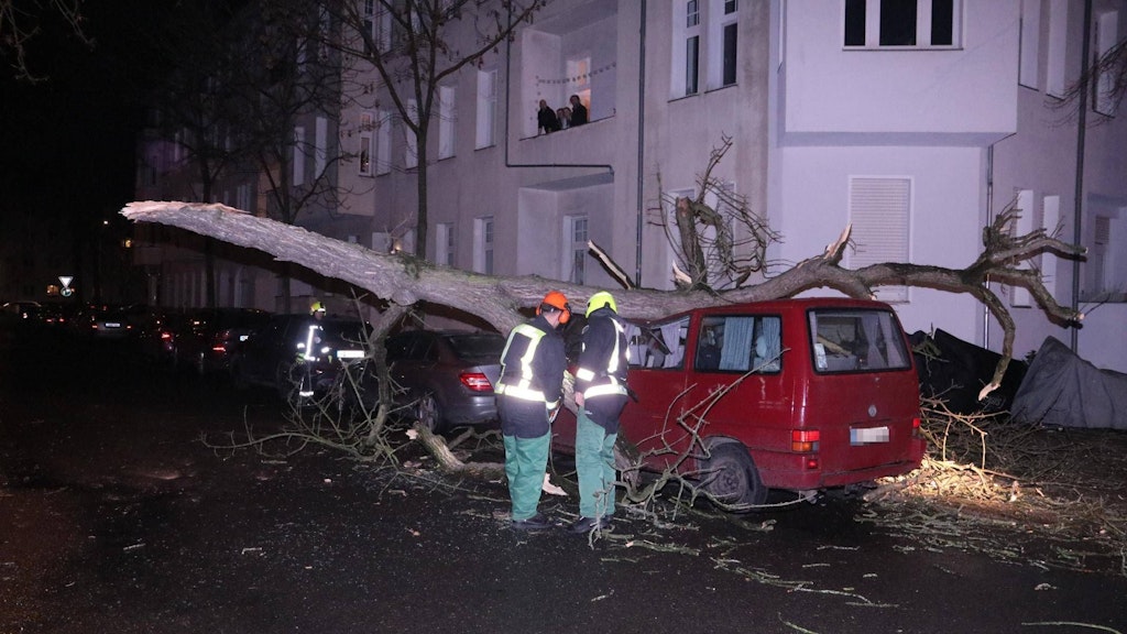 In Baumschulenweg ist nah an einem Wohnhaus ein riesiger Ast auf einen Transporter gekracht.