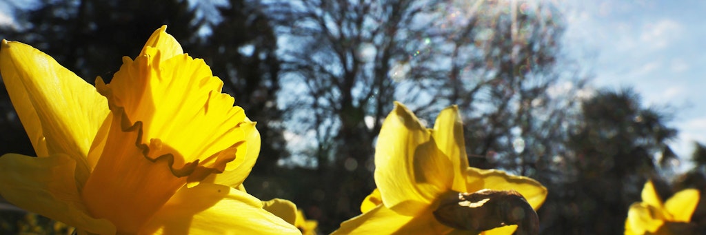 Der Frühling kommt so langsam in die Gänge.