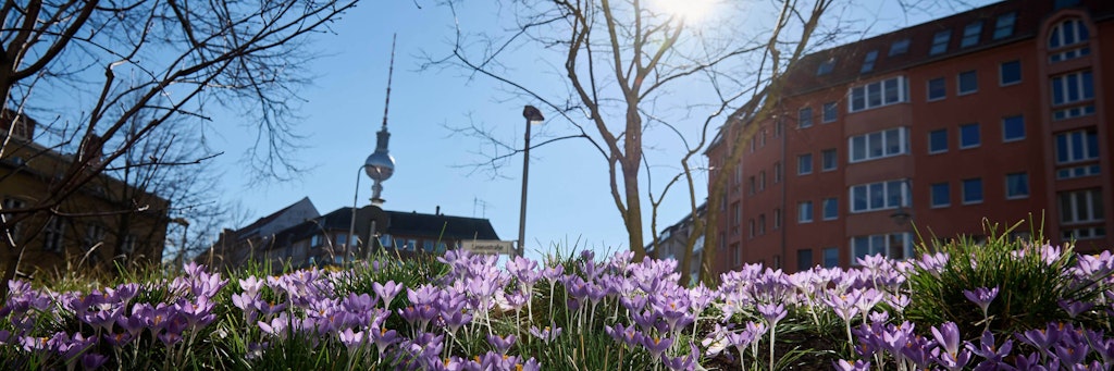 Der Frühling küsst Berlin - und das schon seit einigen Tagen. Aber: Wie wird das Wetter am Wochenende?