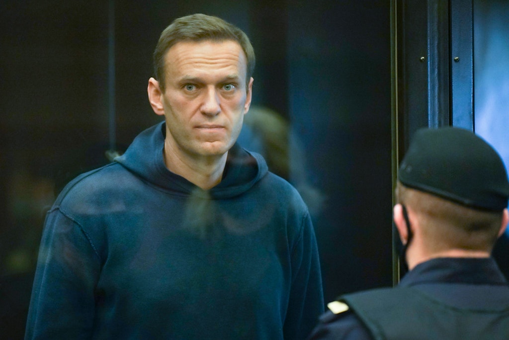 Der russische Oppositionsführer Alexej Nawalnyto