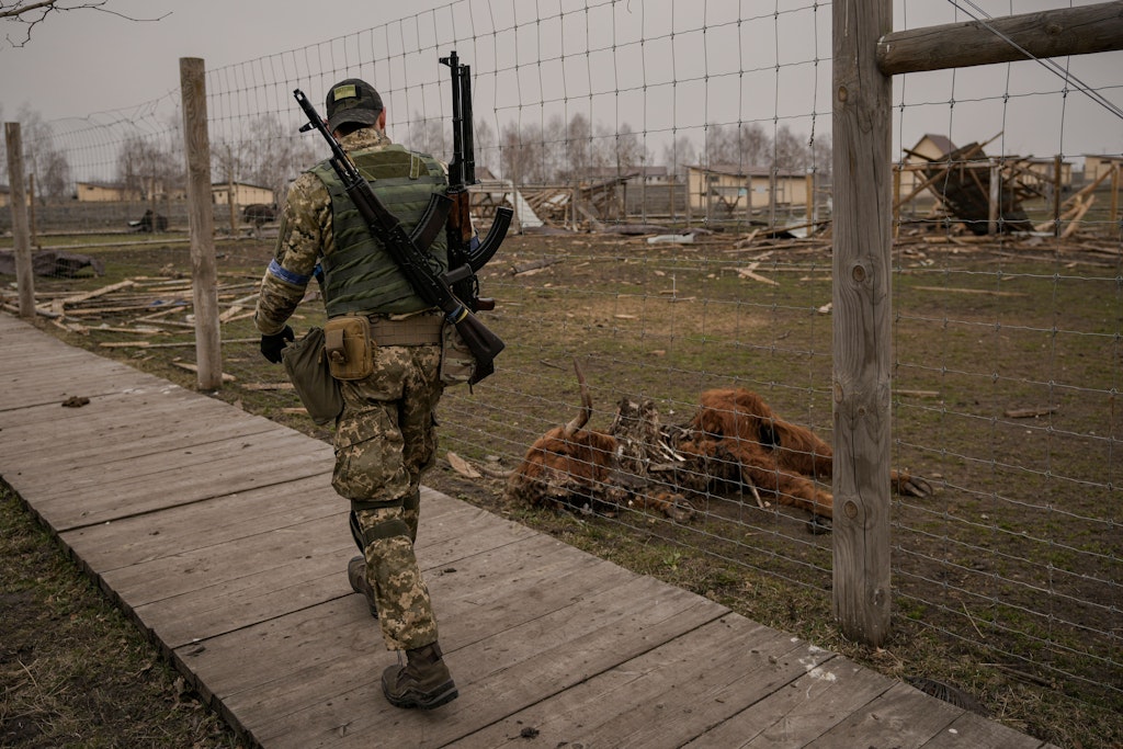 Ein ukrainischer Soldat geht an einem Tier vorbei, das während Kämpfen in einem schwer beschädigten Privatzoo getötet wurde.