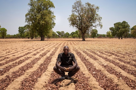 BERLINER KURIER BERLINS EHRLICHE BOULEVARD ZEITUNG visual data 4