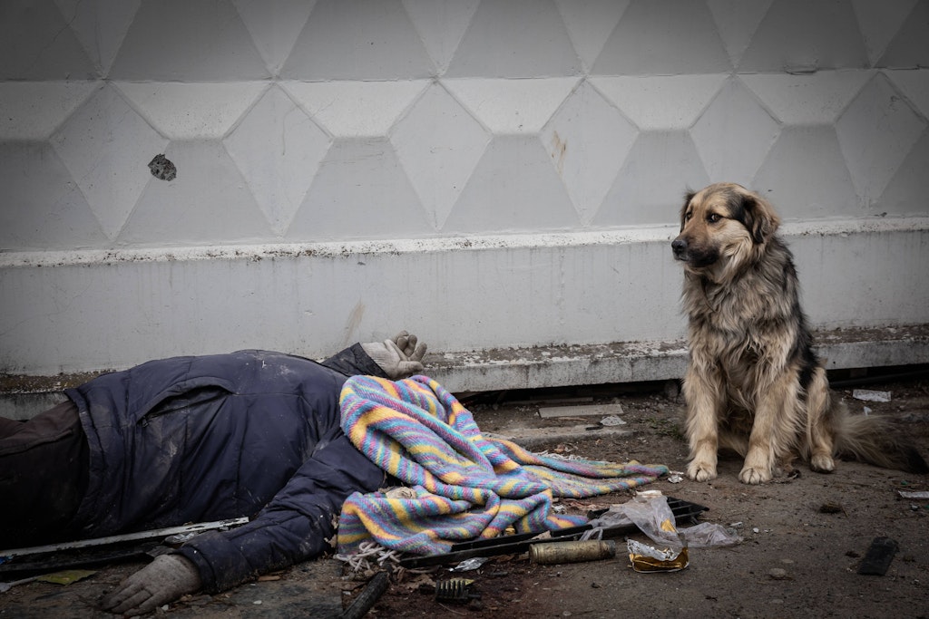 Grauenhafte Bilder aus Butscha: Der Leichnam eines getöteten Zivilisten liegt auf der Straße, neben ihm wacht sein Hund.