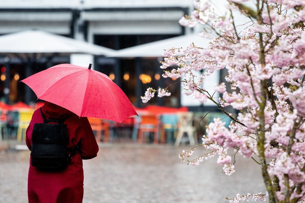 Regen und Sturm beschert uns Tief „Nasim“ - Frühling sieht anders aus.
