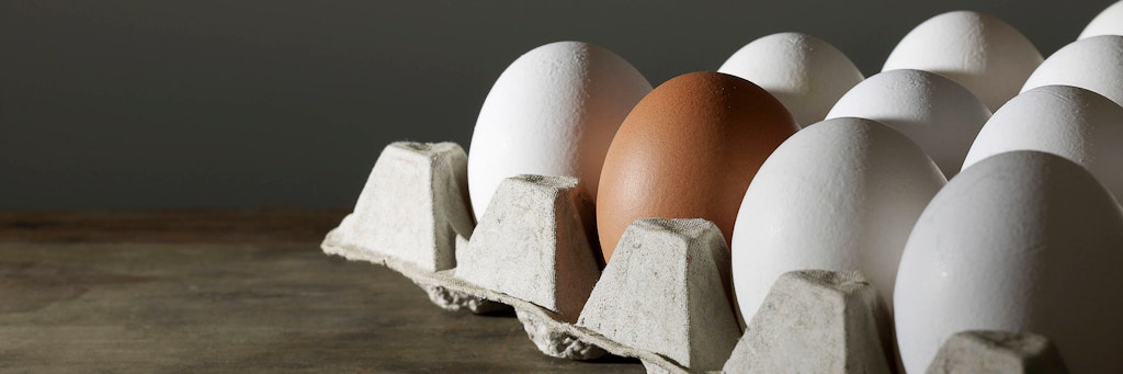 Sind braune Eier wirklich gesünder als weiße?