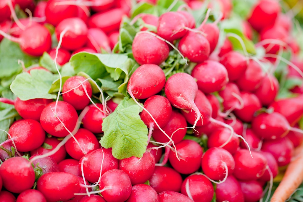 Leckere Radieschen sind die Hauptzutat für diesen köstlichen Radieschensalat. Sie sollten das Rezept unbedingt ausprobieren!