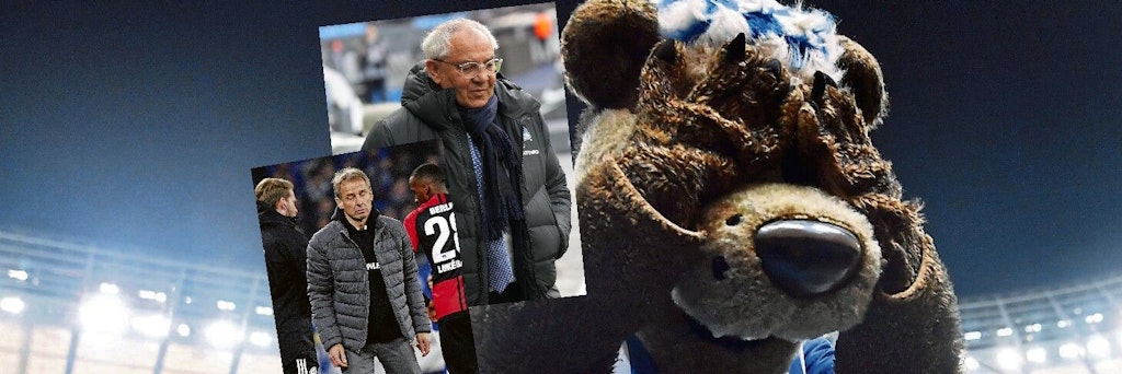 Hertha-Maskottchen Herthinho erlebt die Krisenjahre hautnah, sah Jürgen Klinsmann kommen und fliehen – und hofft nun auf Felix Magath.