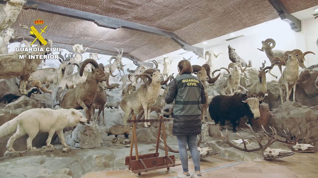 1090 Tiere zählten die Polizisten in der privaten Sammlung.