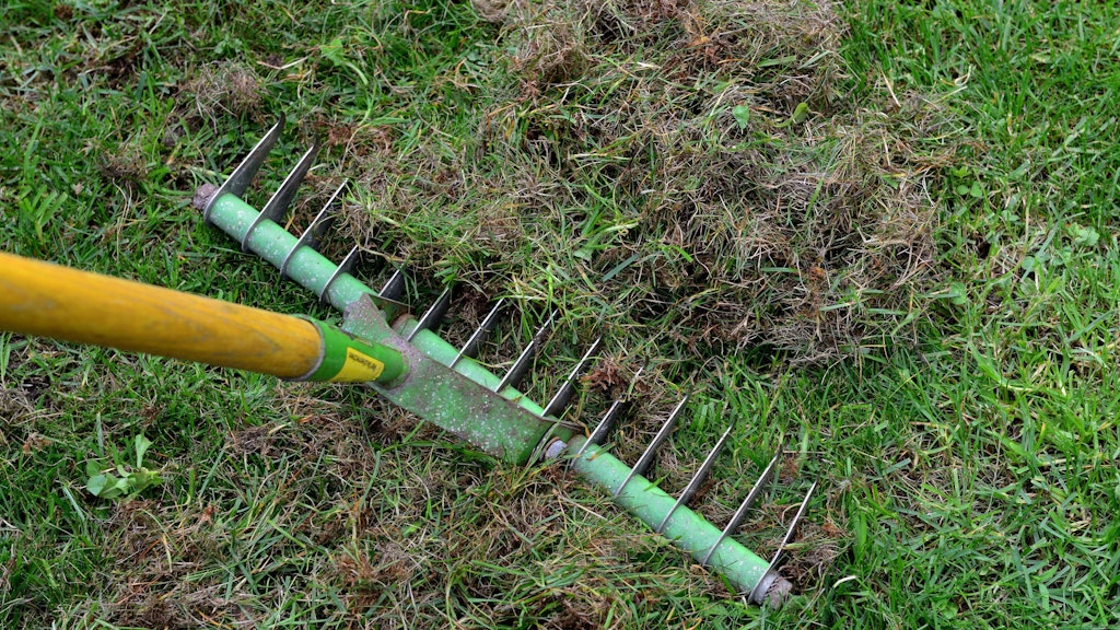 Abgestorbenes Moos und Gras kann man auch mit einem Vertikutierrechen aus dem Rasen entfernen.