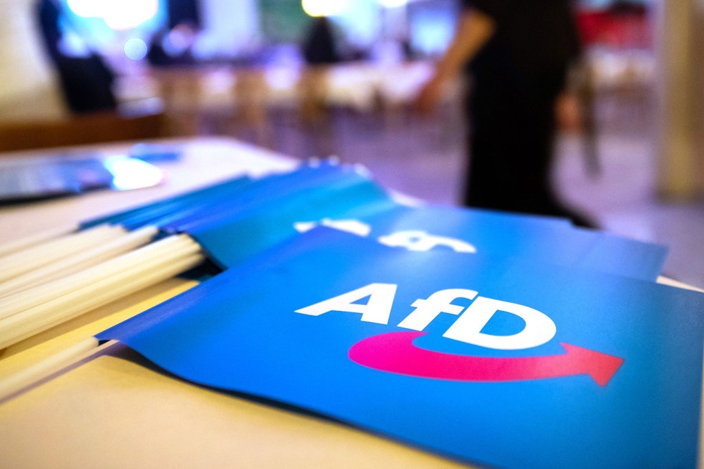 Ein Geldgeber der AfD will jetzt sein Geld zurück – hat die Partei verklagt.