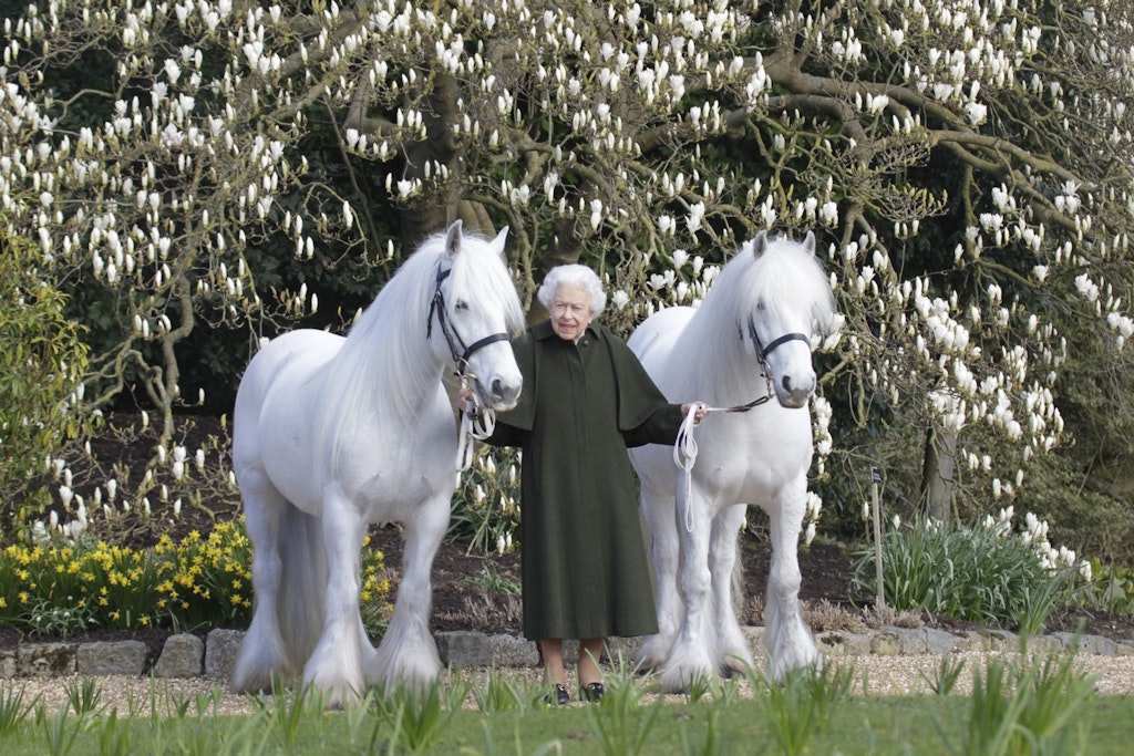 Die Queen mit ihren Ponys Bybeck Nightingale (r) und Bybeck Katie.