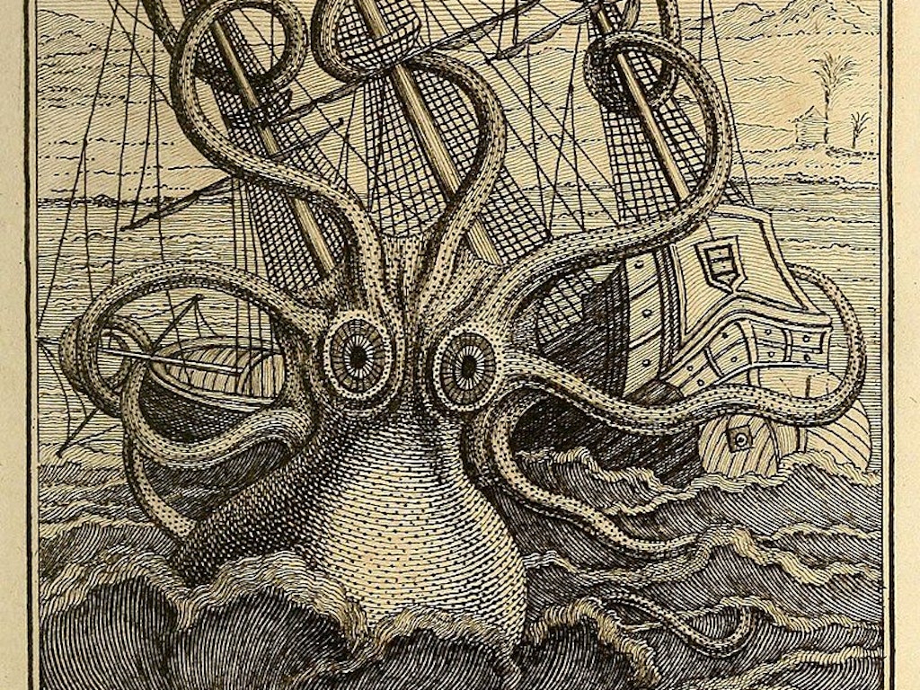 Bereits seit über 2000 Jahren existieren Geschichten über riesige Tintenfische und Monsterkraken.