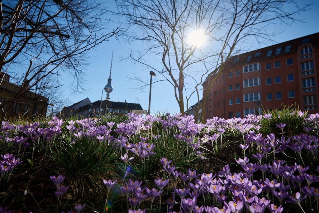 Das Wetter verspricht am Wochenende und in der kommenden Woche richtig schön zu werden.