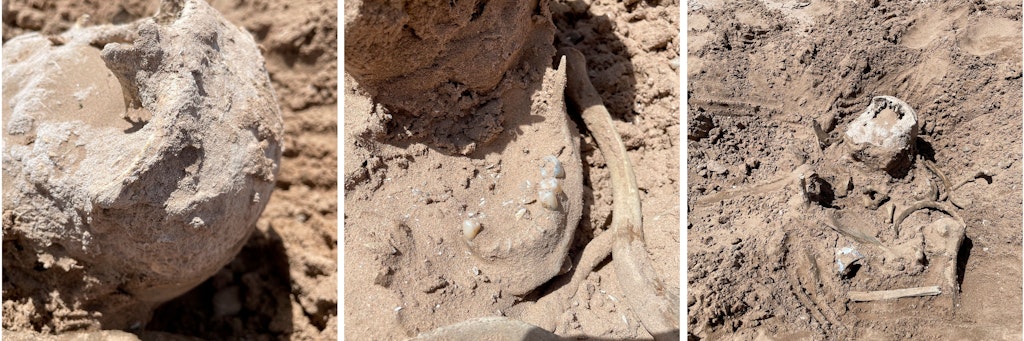 Diese Leichenteile entdeckten Lindsay und Lynette Melvin im austrocknenden Lake Mead.