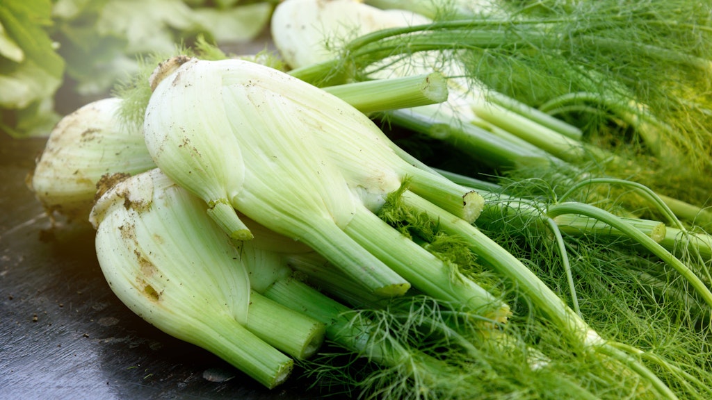 Fenchel ist ein supergesundes Gemüse und perfekt in einer leckeren Fenchel-Rahm-Suppe.