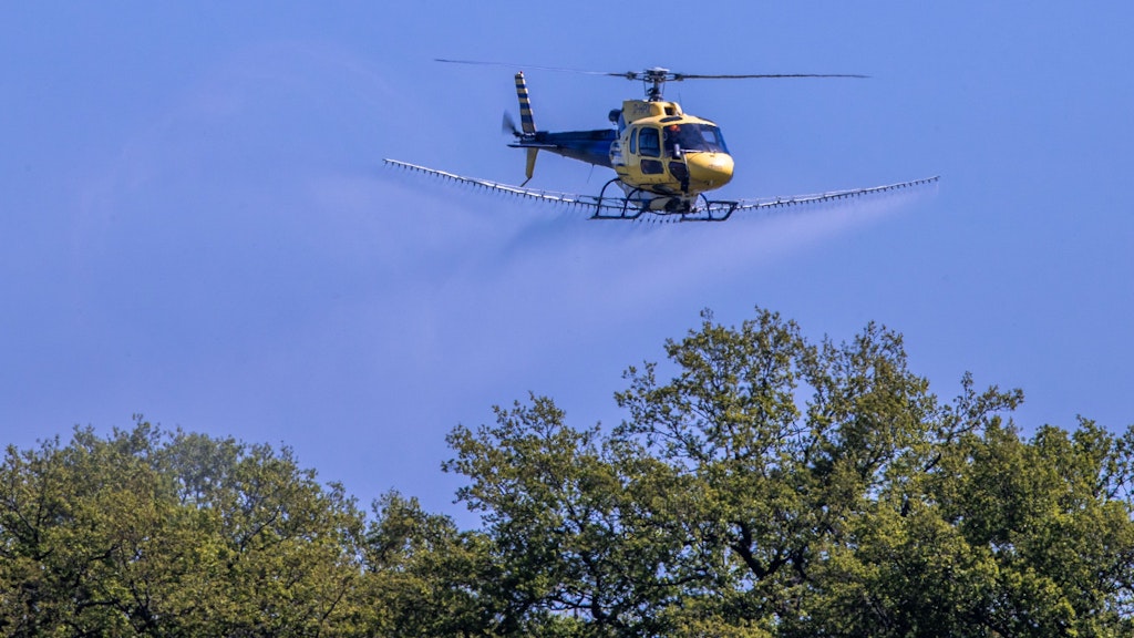 Ein Spezialhubschrauber versprüht über einer Allee ein Insektizid gegen den Eichenprozessionsspinner.