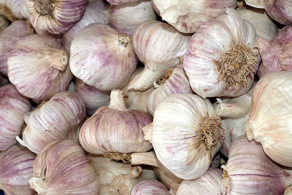 Viele Menschen lieben Knoblauch - nur hinterlässt die Knolle leider oft einen unangenehmen Geruch... mit diesen Tricks werden Sie den Duft aber schnell los.