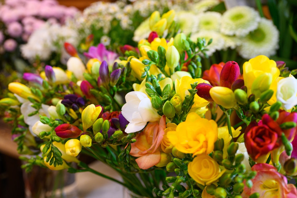 Egal ob als Dekoration oder als Freude für die Liebsten: Blumen sind schön anzusehen.