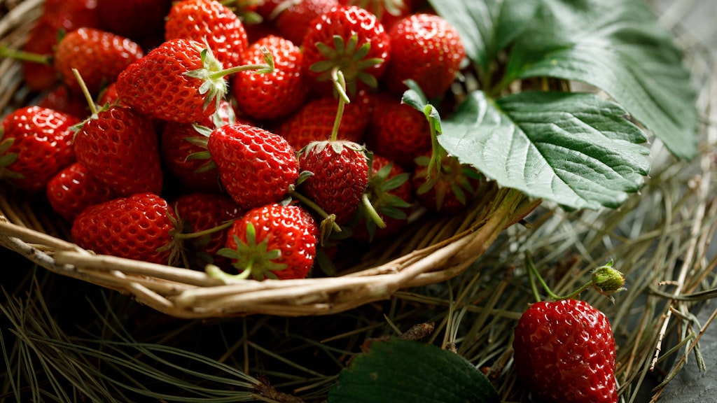 Saftige Erdbeeren schmecken jedem - und mit diesem Rezept für Erdbeermarmelade haben Sie länger etwas von den roten Früchten.