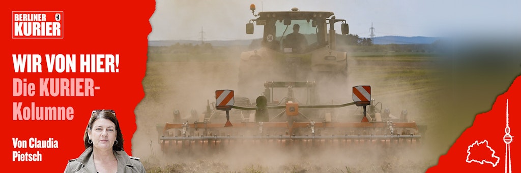 Das Foto entstand am 10. Mai dieses Jahres in Petersdorf im brandenburgischen Landkreis Oder-Spree: Ein Landwirt bearbeitet den trockenen Boden auf einem Feld. Dabei staubt es gewaltig. Brandenburg ist von Jahr zu Jahr mehr von Trockenheit betroffen. Das Land rund um Berlin leidet zudem unter den sandigen Böden, die Regen, wenn er denn mal fällt, schwer halten können.