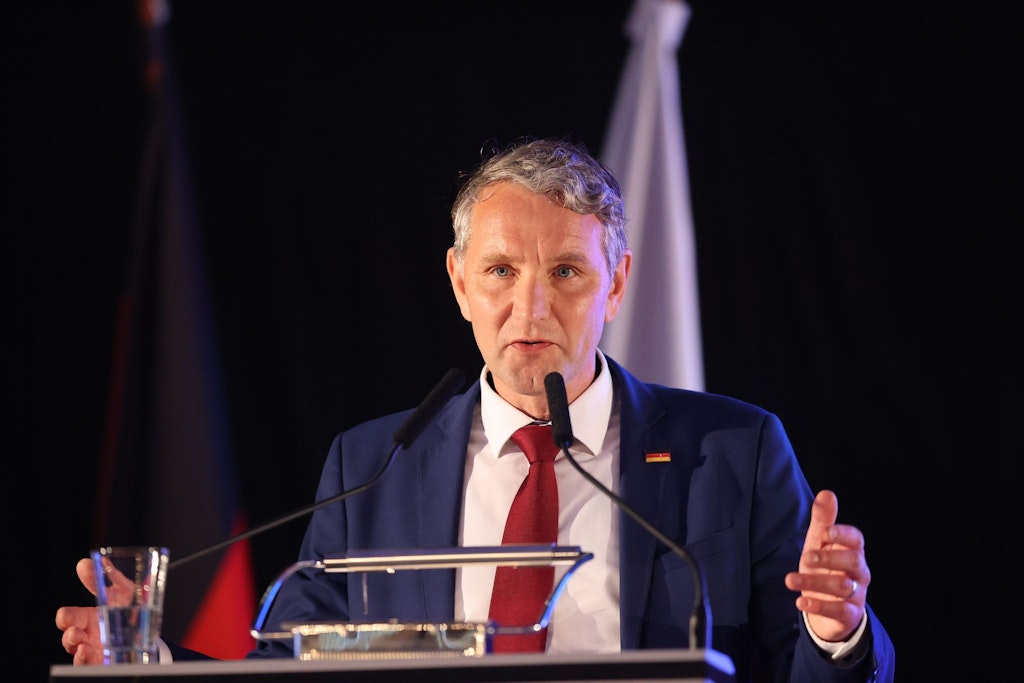Will Björn Höcke künftig die AfD allein anführen?