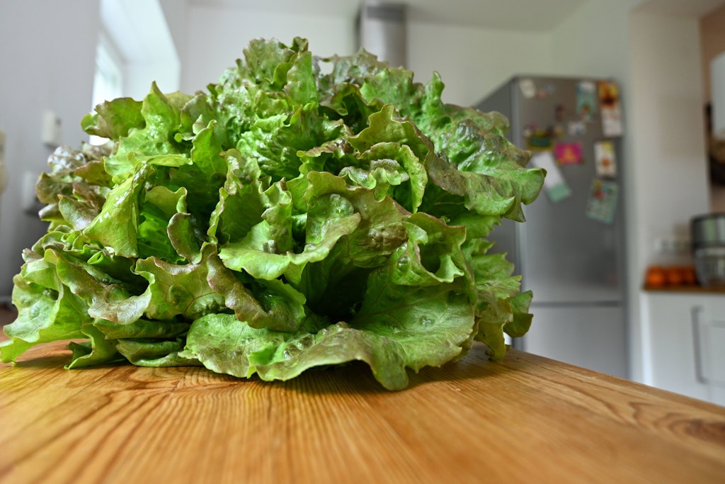 Ein leckerer Salat schmeckt hervorragend mit Auberginen-Chips.