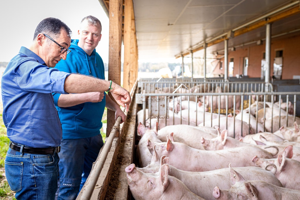 Während seiner Planungen für ein Tierhaltungslogo besuchte Landwirtschaftsminister Cem Özdemir (Grüne) den Schweinemastbetrieb von Jan-Hendrik Hohls bei Celle. Die Tiere waren so neugierig wie der Minister.
