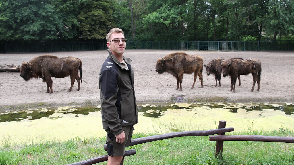 Tierpfleger Sascha Nartschik und seine zotteligen Schützlinge.