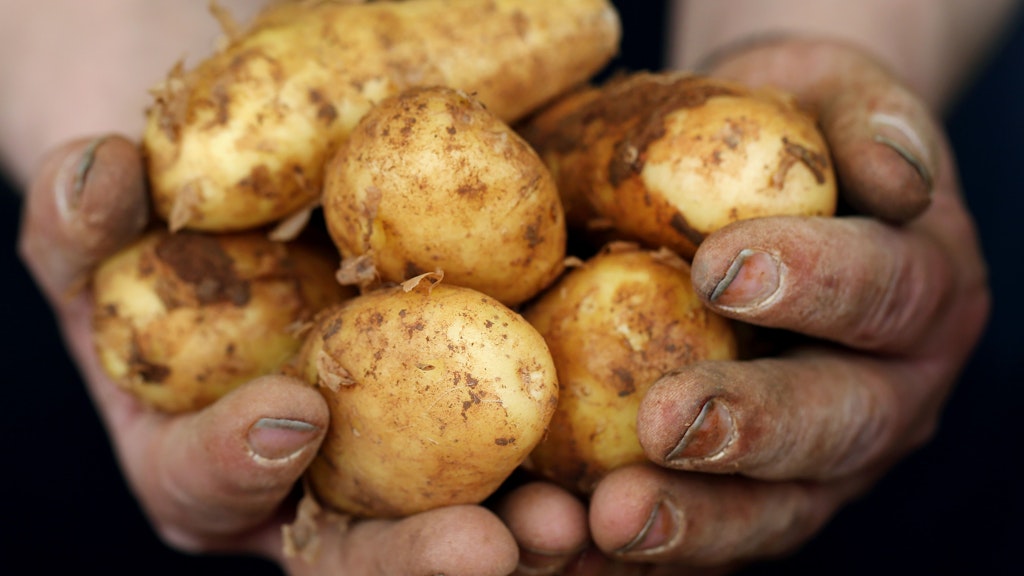 Die Kartoffelpreise haben sich innerhalb eines Jahres mehr als verdoppelt.