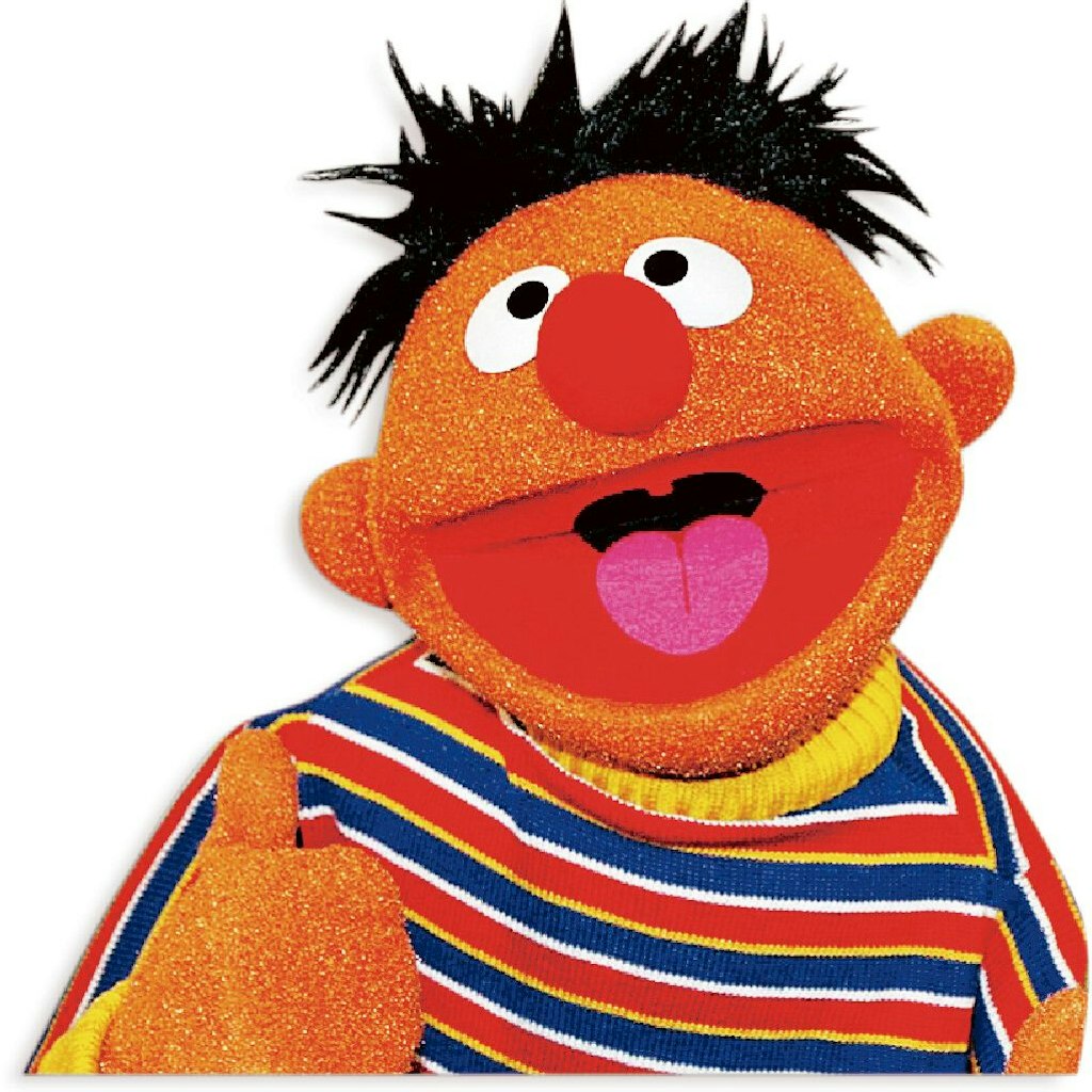 Mit Ernie aus der Sesamstraße konnte sich unser Autor nicht so richtig anfreunden. 1969 hatte die Puppe im US-Fernsehen ihren ersten Auftritt, seit 1973 ist sie in Deutschland zu sehen.