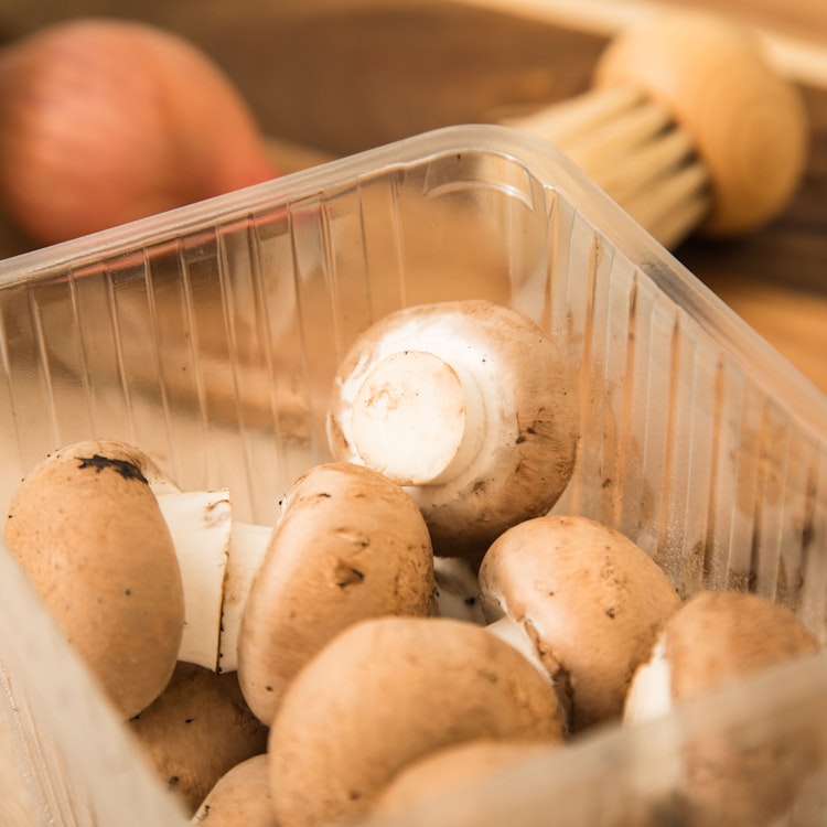 Darf man Champignons eigentlich roh essen? Darauf sollten Sie unbedingt achten